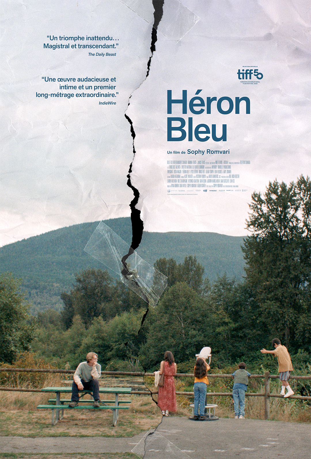 Héron bleu